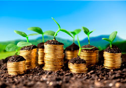 Когда это окупится